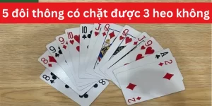 5-doi-thong-co-chat-duoc-3-heo-khong