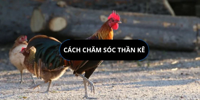 cach-cham-soc-than-ke