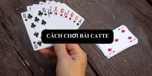 cach-choi-bai-catte