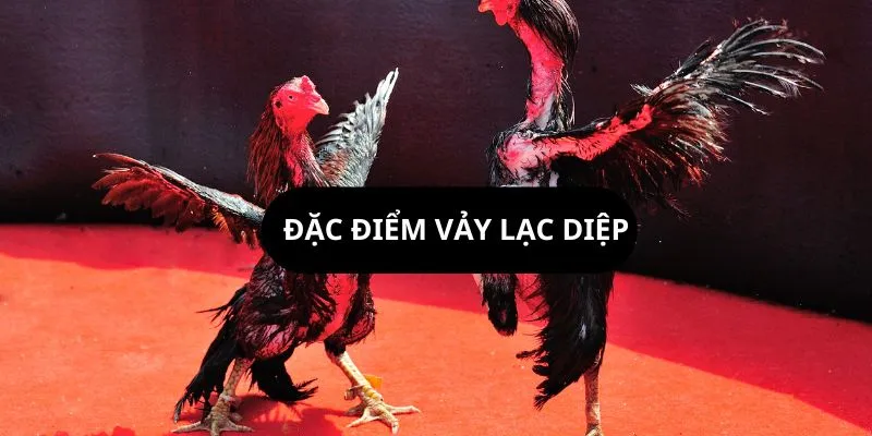 dac-diem-vay-lac-diep