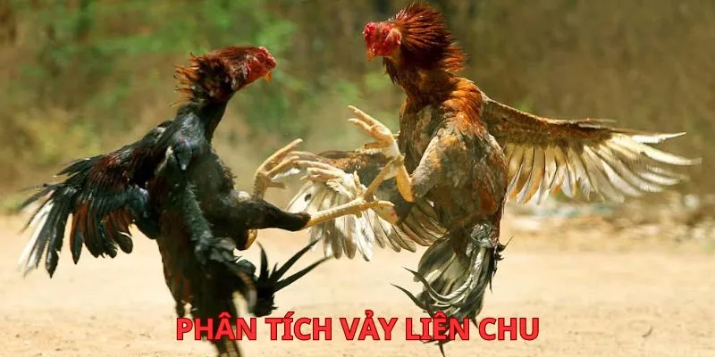 phan-tich-vay-lien-chu