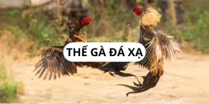 the-ga-da-xa