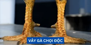 vay-ga-choi-doc
