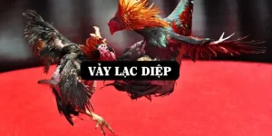 vay-lac-diep